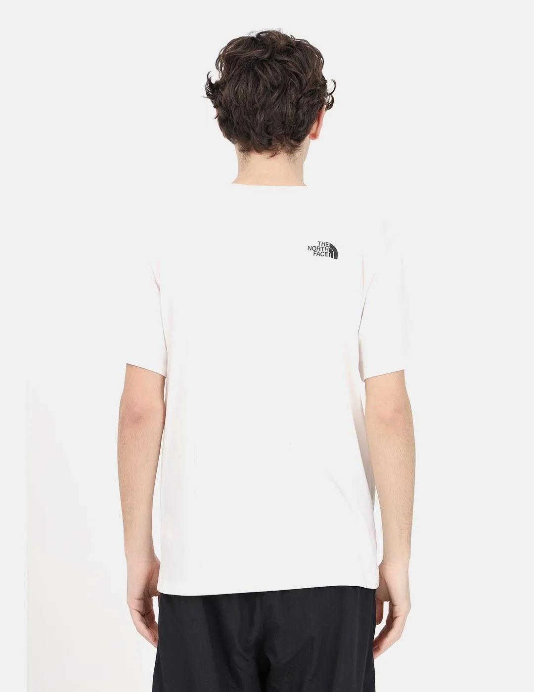 Camiseta The North Face Foundation Coordinates