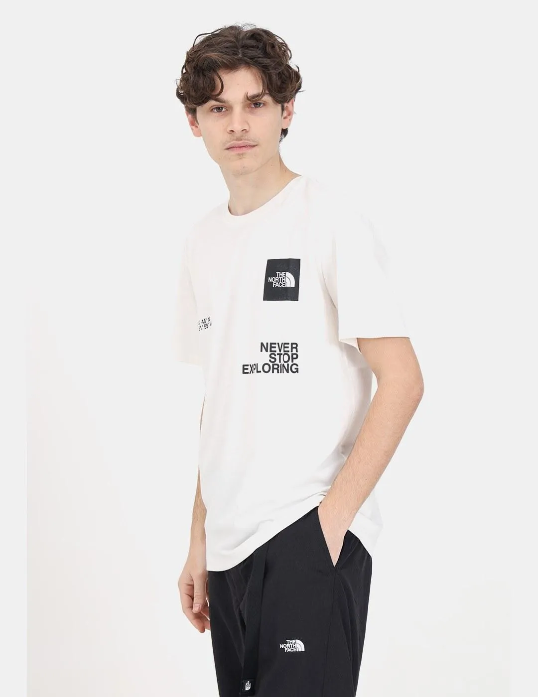 Camiseta The North Face Foundation Coordinates