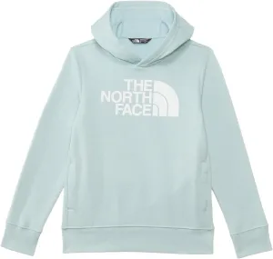 THE NORTH FACE Boys' Teen Half Dome Camp Fleece Pullover Hoodie (Little Big Kid)